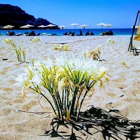 Annamaria Sea Side View Studio- 25M From The Beac Plakias Bagian luar foto