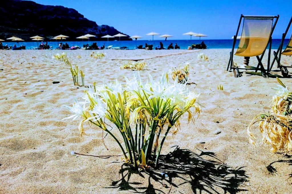 Annamaria Sea Side View Studio- 25M From The Beac Plakias Bagian luar foto